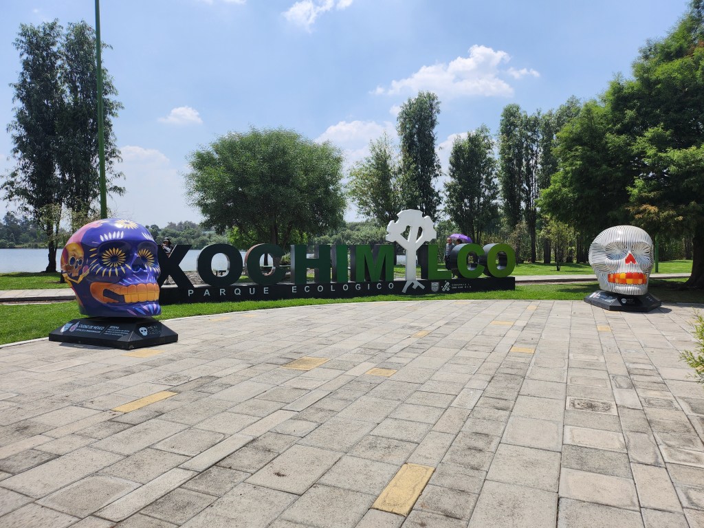 Un paseo de color y magia con MEXICRÁNEOS en Xochimilco