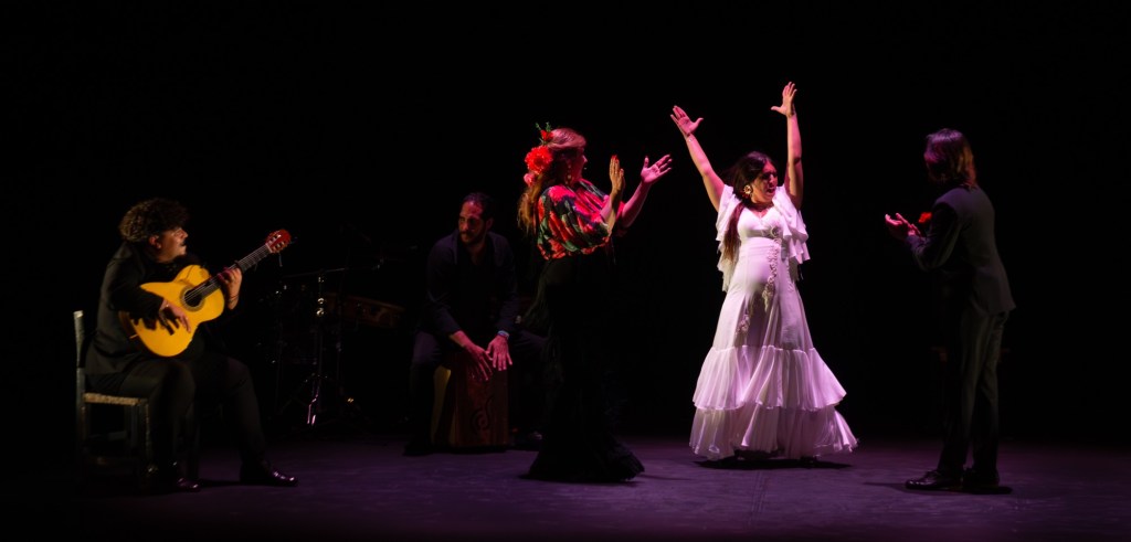 Gala flamenco de raíz en Festival Ibérica Contemporánea&nbsp;2025