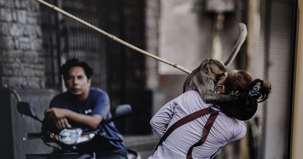 World Press Photo 2025: la exposición de fotoperiodismo más impactante del&nbsp;año