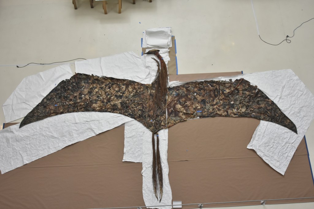Inaugura El Museo Universitario del Chopo, Marta Palau. El vuelo de&nbsp;Quetzalcoatlus