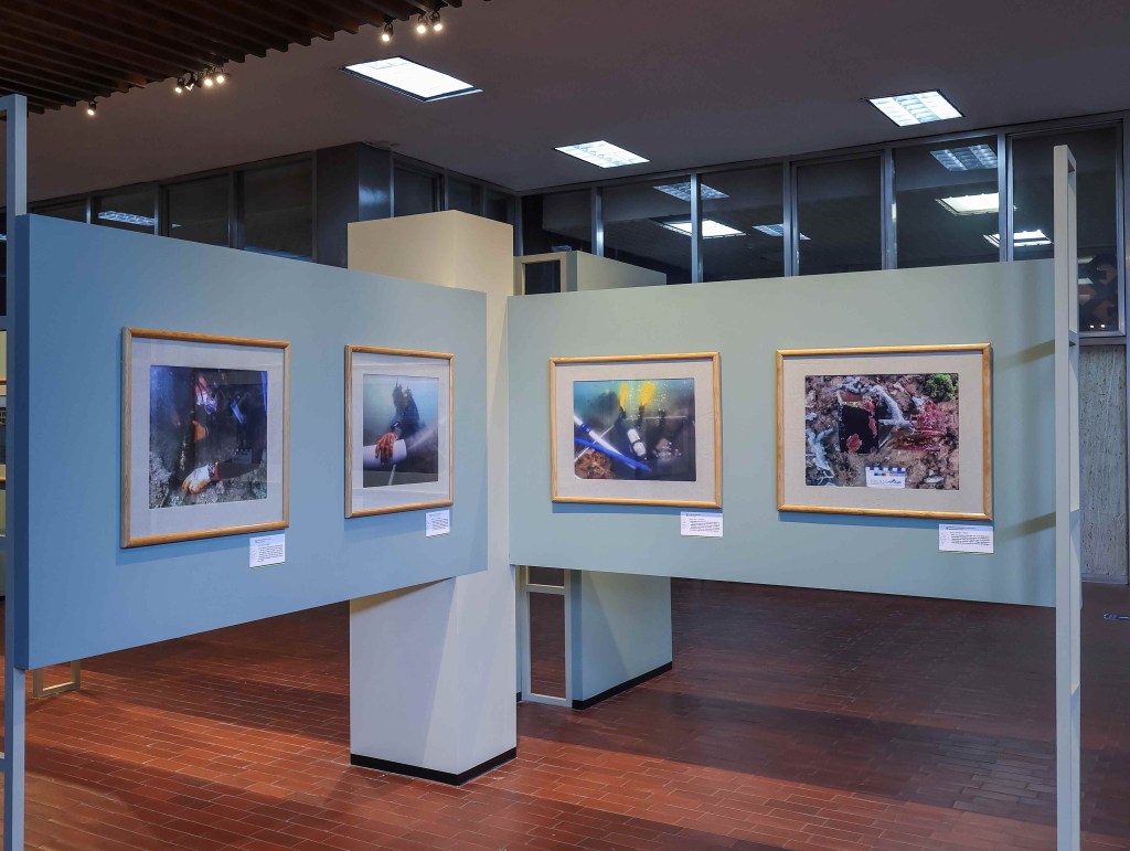 De las profundidades al patrimonio mundial: Port Royal llega al&nbsp;MNA