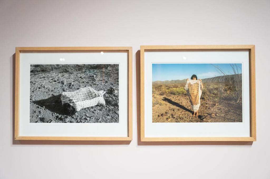 El MAM revisita dos exposiciones que marcaron el arte alternativo de los noventa