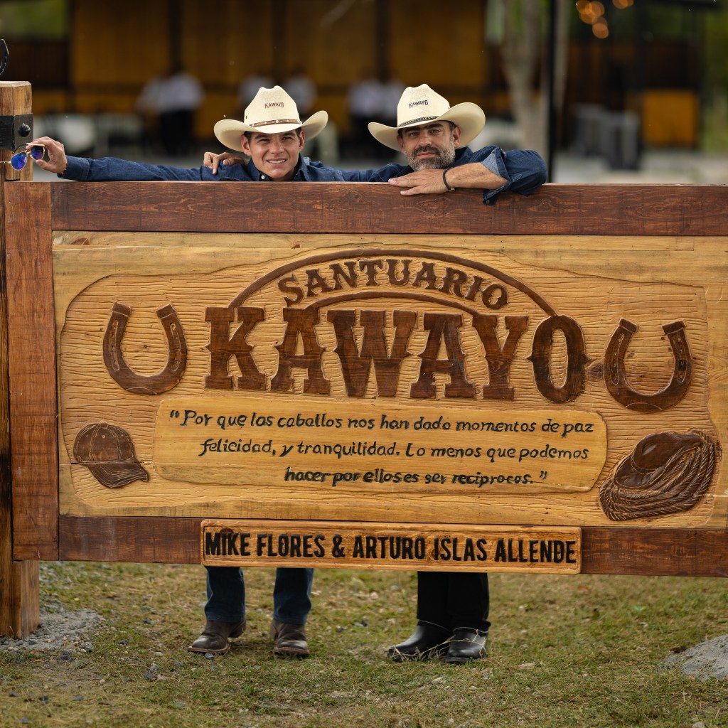 Kawayo, un santuario para caballos que buscan una segunda oportunidad