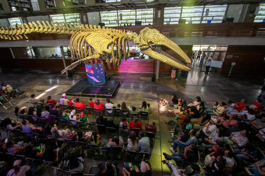 La Biblioteca Vasconcelos celebra 20 años como espacio de encuentro y comunidad